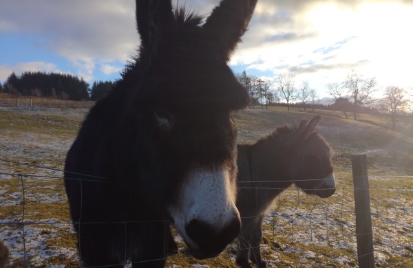 traduction premiers clients