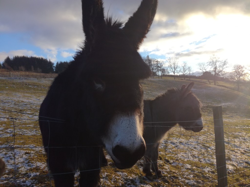 traduction premiers clients